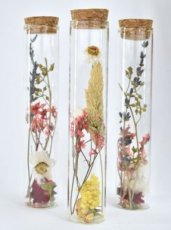 Tubes de fleurs séchées - 15 cm