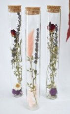 Tubes de fleurs séchées - 20 cm