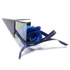 POF0010-03 Rose bleu